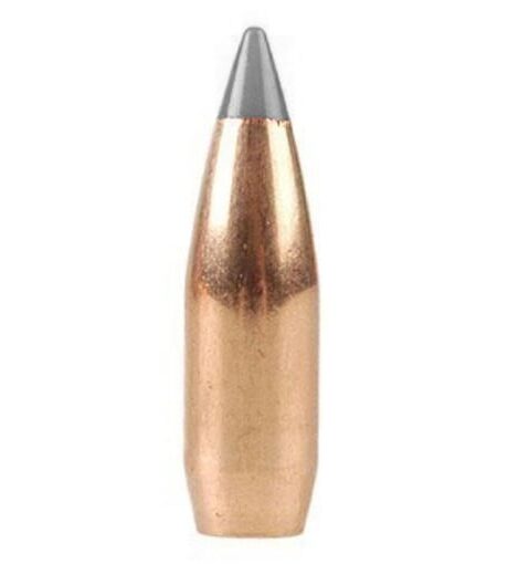 Factory Second Varmint Bullets 22 Caliber (224 Diameter) 40 Grain Polymer Tip Spitzer Boat Tail Box of 100 (Bulk Packaged)