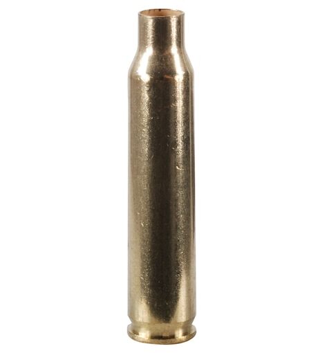 Winchester 223 Remington Brass