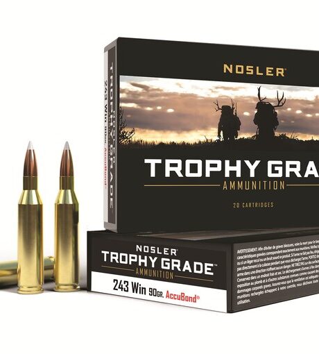 Nosler Trophy Grade 243 Winchester Ammo 90 Grain Nosler AccuBond Bonded Polymer Tip Box of 20