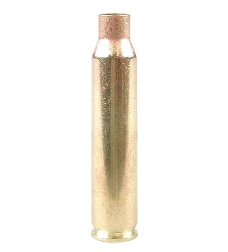 Sig Sauer 223 Remington Brass Bag of 100
