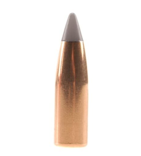 Factory Second Varmint Bullets 17 Caliber (172 Diameter) 20 Grain Polymer Tip Spitzer Flat Base