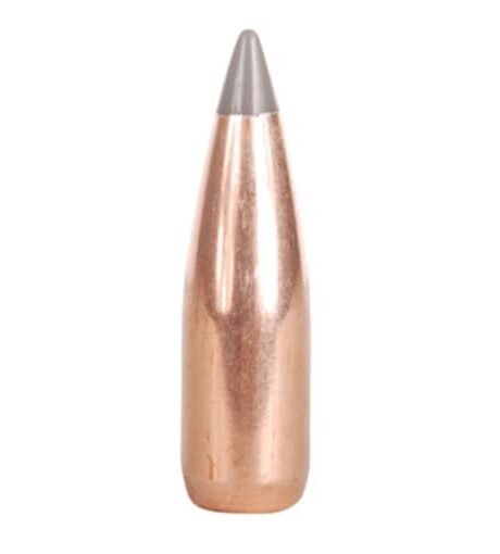 Factory Second Varmint 22 Caliber (224 Diameter) Bullets 53 Grain Polymer Tip Box of 100 (Bulk Packaged)