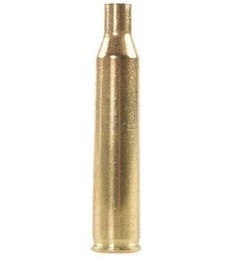 Remington 220 Swift Brass