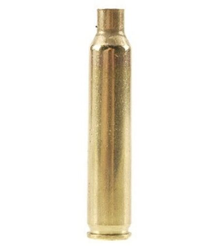 Remington 204 Ruger Brass