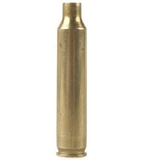 Winchester 204 Ruger Brass Bag of 100