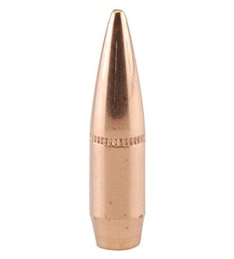 Factory Second 22 Caliber (224 Diameter) Bullets 62 Grain Full Metal Jacket