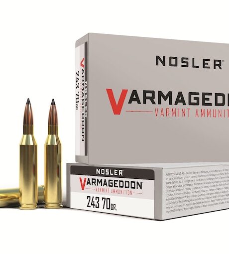 Nosler Varmageddon 243 Winchester Ammo 70 Grain Nosler Varmageddon Polymer Tip Box of 20