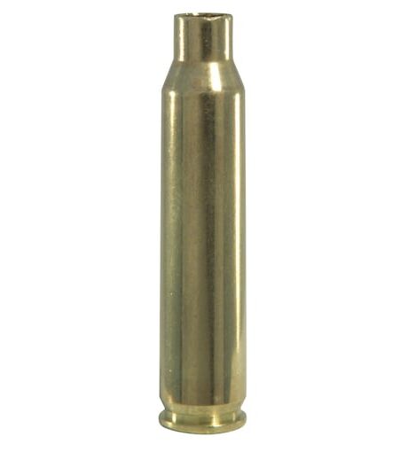 Dogtown 223 Remington Brass