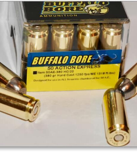 Buffalo Bore 50 Action Express Ammo 380 Grain Flat Nose Box of 20