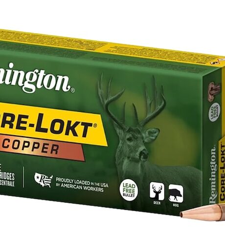 Remington Core-Lokt Copper 300 AAC Blackout Ammo 120 Grain Solid Hollow Point Lead Free Box of 20