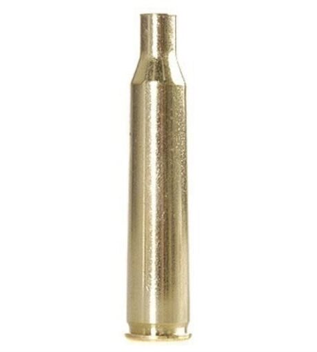 Winchester 220 Swift Brass Bag of 100