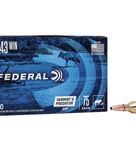 Federal Varmint and Predator 243 Winchester Ammo 75 Grain Jacketed Hollow Point