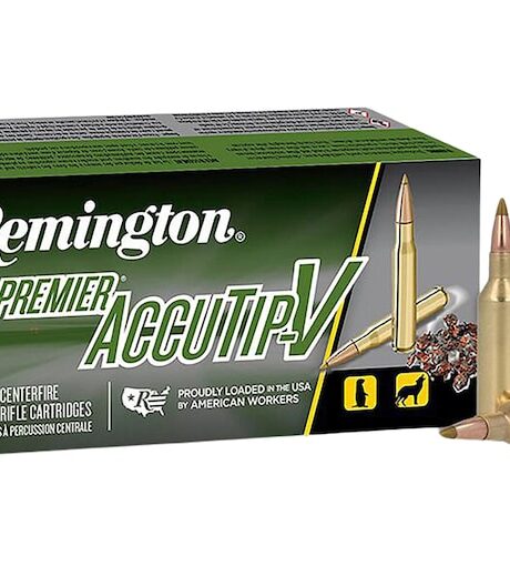 Remington Premier Varmint 17 Remington Fireball Ammo 20 Grain Remington AccuTip Polymer Tip