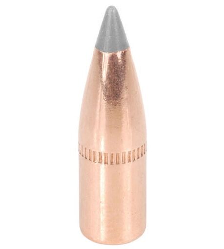 Factory Second Varmint 22 Caliber (224 Diameter) Bullets 60 Grain Polymer Tip with Cannelure Box of 100 (Bulk Packaged)
