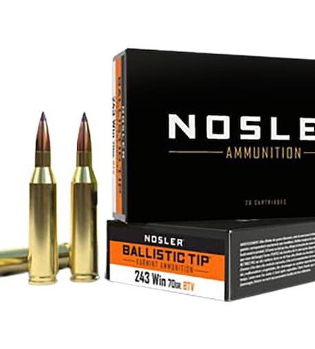 Nosler BT Varmint 243 Winchester Ammo 70 Grain Nosler Ballistic Tip Polymer Tip Box of 20