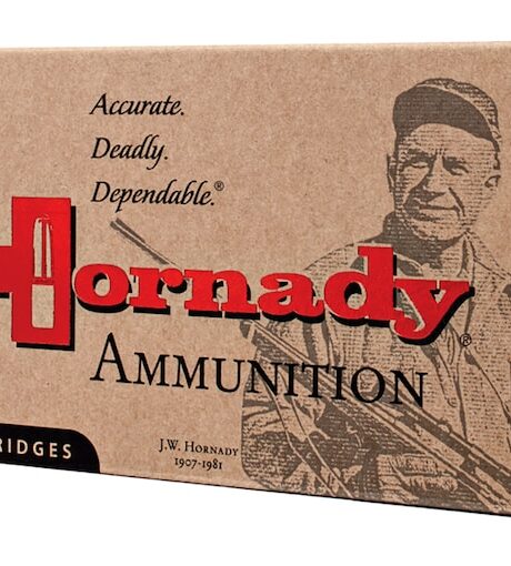 Hornady Custom 300 AAC Blackout Ammo 110 Grain Hornady CX Polymer Tip Lead Free Box of 20