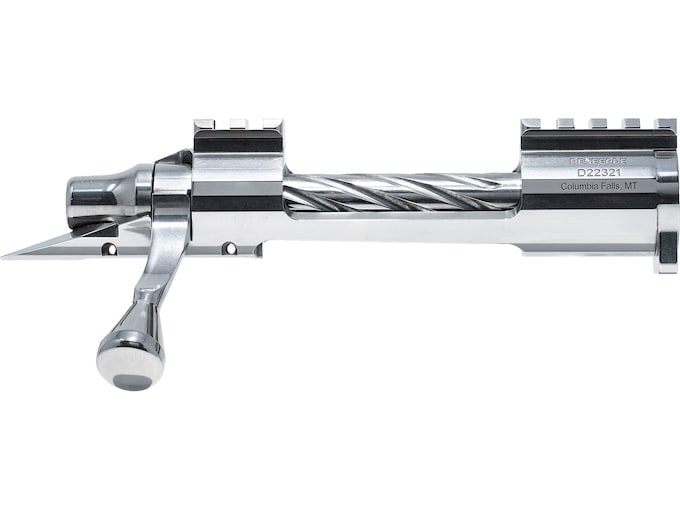 Defiance Renegade Rifle Action