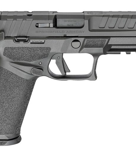 Springfield Armory Echelon U-Notch Pistol Manual Safety