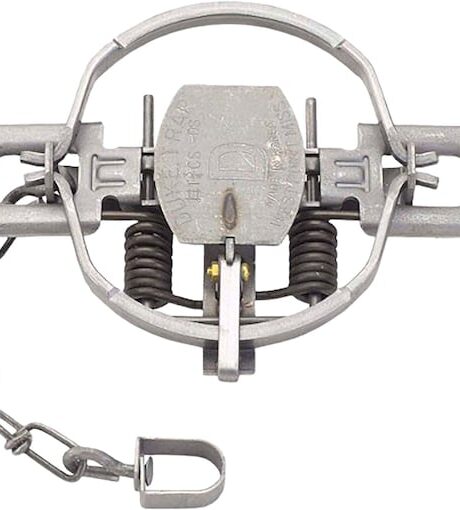Duke #1 3/4 Offset Jaw Coil Spring Trap Steel Silver