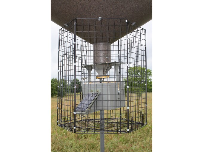 Boss Buck Varmint Cage For Boss Buck Broadcast Type Feeders Green