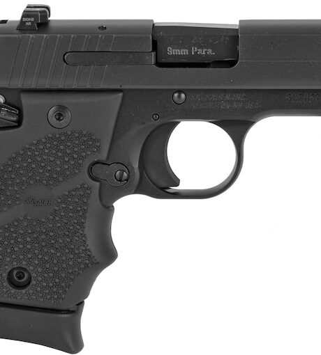 Sig Sauer P938 Pistol Hogue Grip