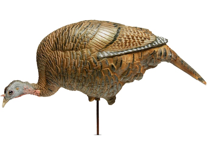 Dave Smith Decoys DSD Feeding Hen Turkey Decoy