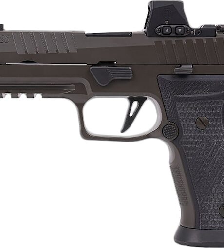 Sig Sauer P320 AXG Legion 9mm Luger Pistol 3.9" Barrel 21+1 Round Legion Gray Slide Tungsten Grip Legion Gray Frame Romeo-X Red Dot Sight