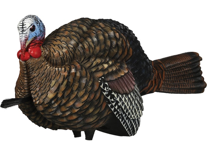 Avian X LCD 1/2 Strut Jake Turkey Decoy