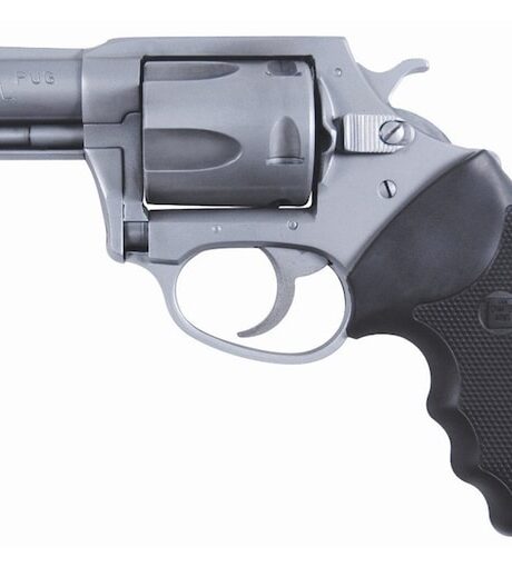 Charter Arms Bulldog Revolver Hammerless