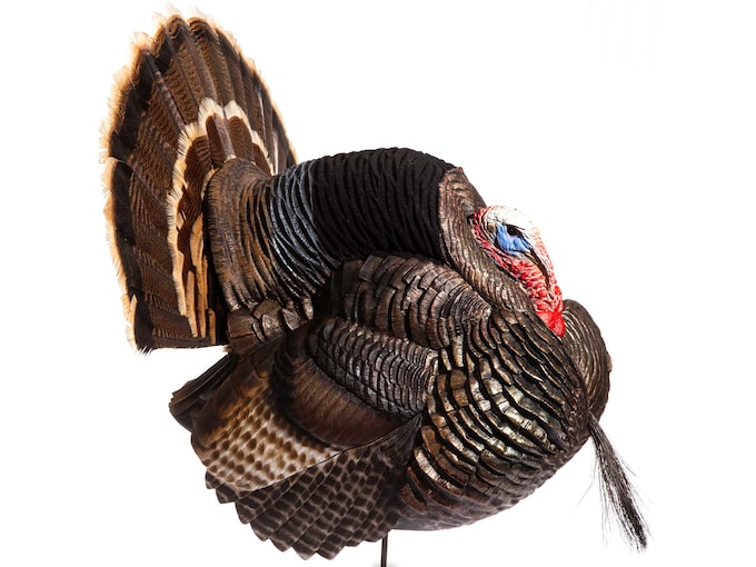 Dave Smith Decoys DSD Strutter Gobbler Turkey Decoy