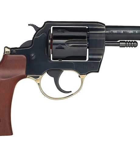 Henry Big Boy Revolver Birdshead