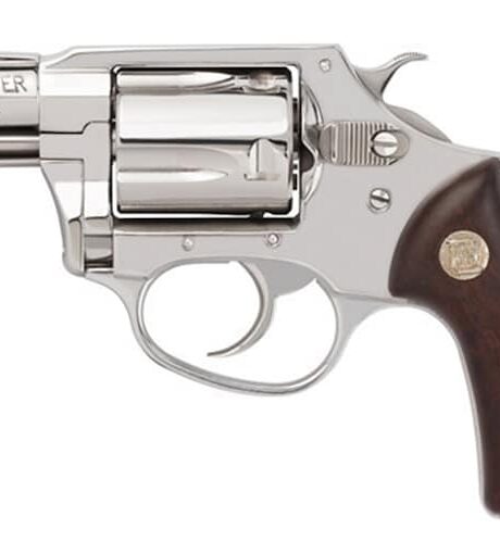 Charter Arms Undercover Revolver Hammerless