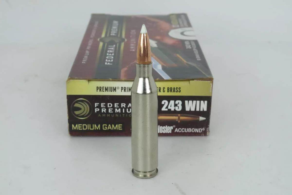 Advantages of Using .243 Winchester for Deer Hunting | Reloading ...