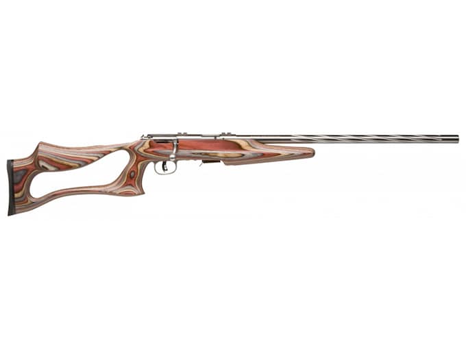 Savage Arms 93-BSEV Bolt Action Rifle 22 Winchester Magnum Rimfire (WMR) 21" Fluted Matte Barrel Stainless Frame Evolution Skeleton Stock