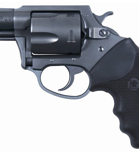 Charter Arms Mag Pug Revolver