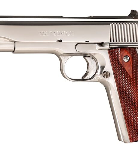Colt Bright Stainless Government Pistol