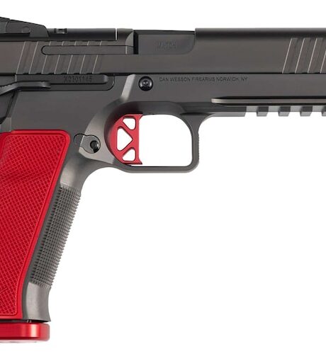 Dan Wesson DWX Ambi Optics Ready Pistol Rail