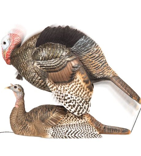 Dave Smith Decoys DSD Mating Motion Pair Turkey Decoys
