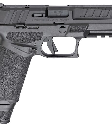 Springfield Armory Echelon 9mm Luger Pistol 4.5" Barrel 20+1 Round Black Night Sights