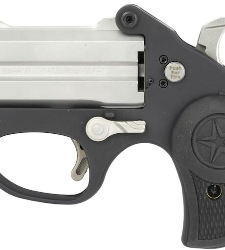 Bond Arms Stinger Over Under Pistol