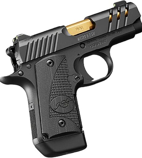 Kimber Micro 9 ESV Pistol