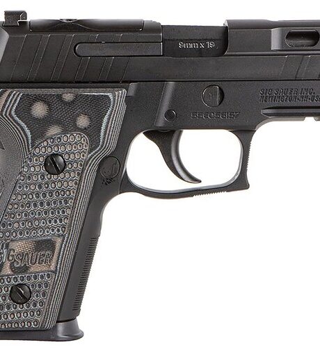 Sig Sauer P229 Pro Pistol
