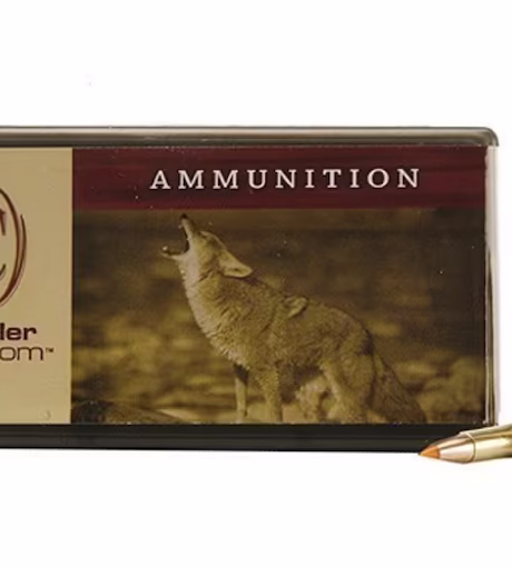 Buy Nosler Custom 22 Hornet Ammo 40 Grain Nosler Ballistic Tip Polymer Tip Box of 50