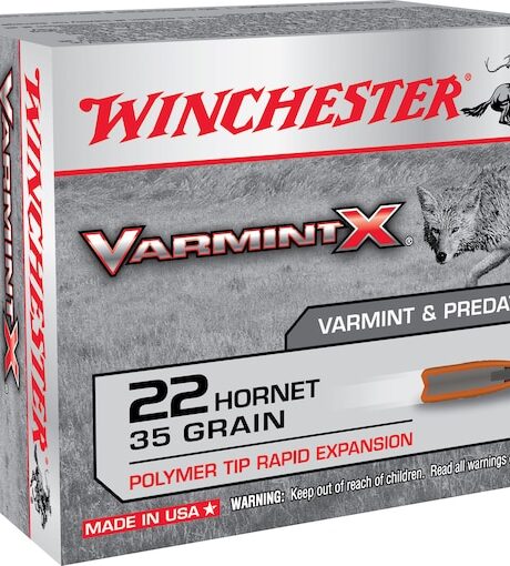 Buy Winchester Vamint X 22 Hornet Ammo 35 Grain Polymer Tip Box of 20